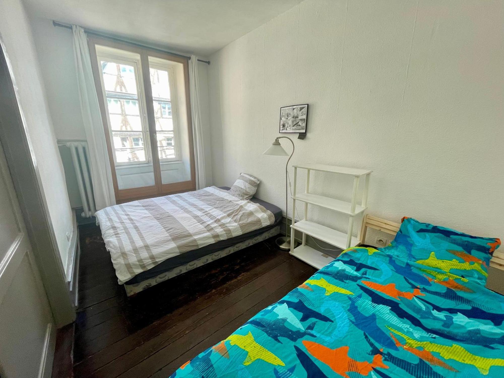 Cathedrale Spacieux Appartement 스트라스부르 외부 사진